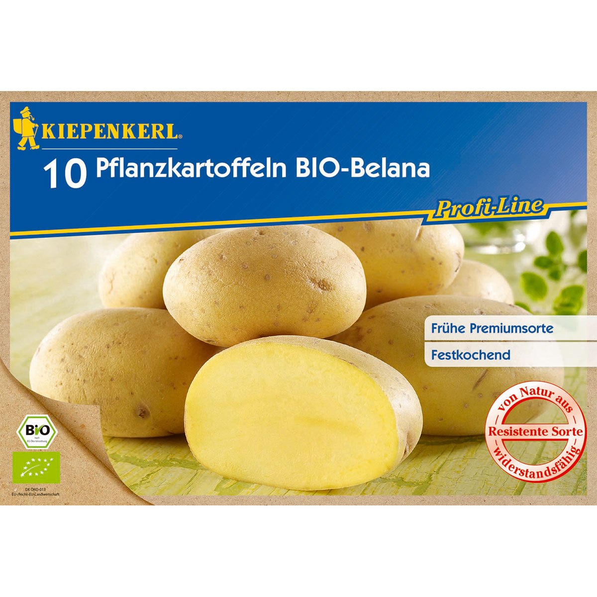 Kiepenkerl Pflanzkartoffel Belana Bio früh festkochend 10 Stück