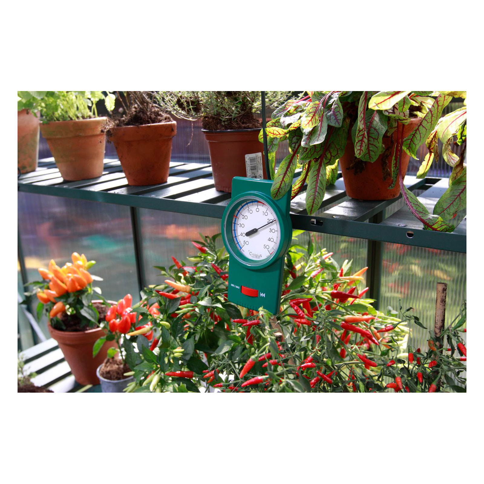 Vitavia Min-Max-Thermometer