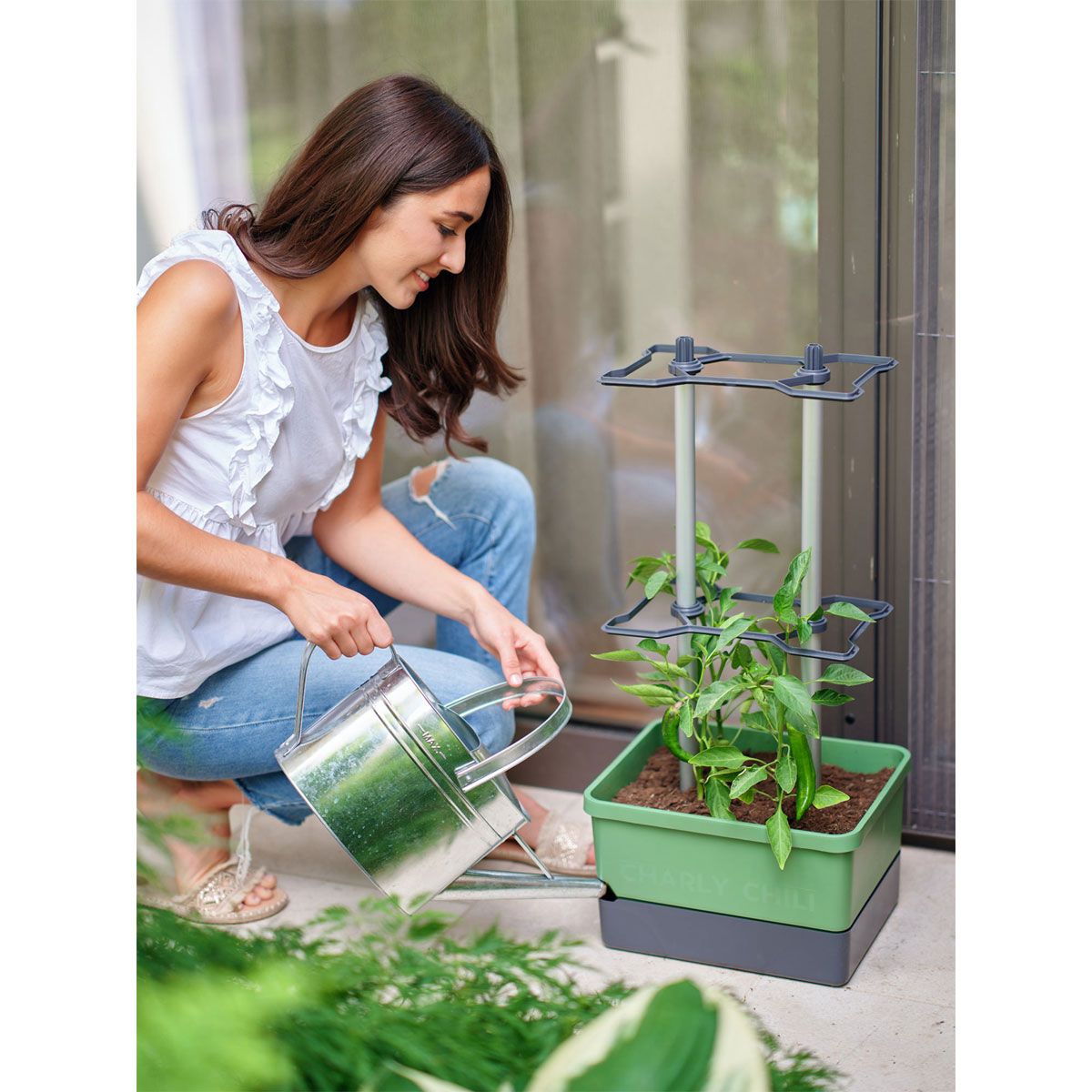 Rankhilfe Charly Chily dunkelgruen