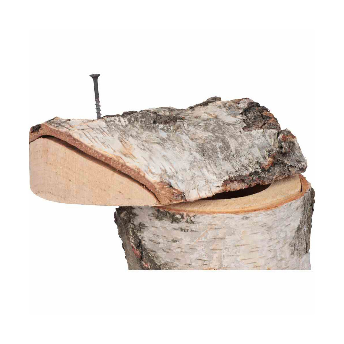 Siena Garden  Nistkasten Birke 28 mm Bild 3