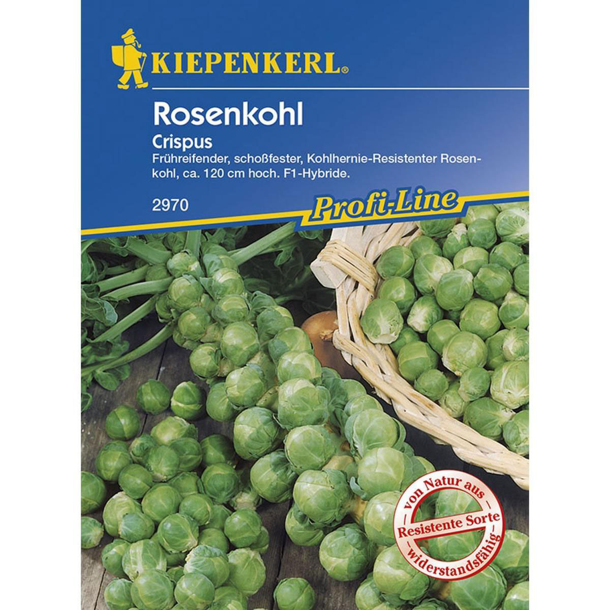 Kiepenkerl Rosenkohl Crispus