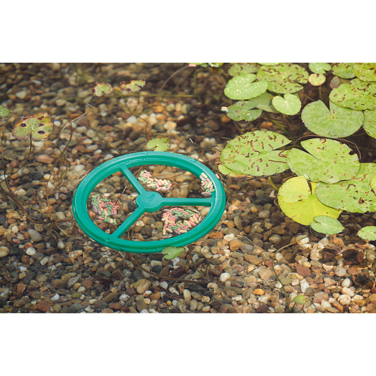 Oase Pontec Fütterungsring PondoFeed Ring Bild 3