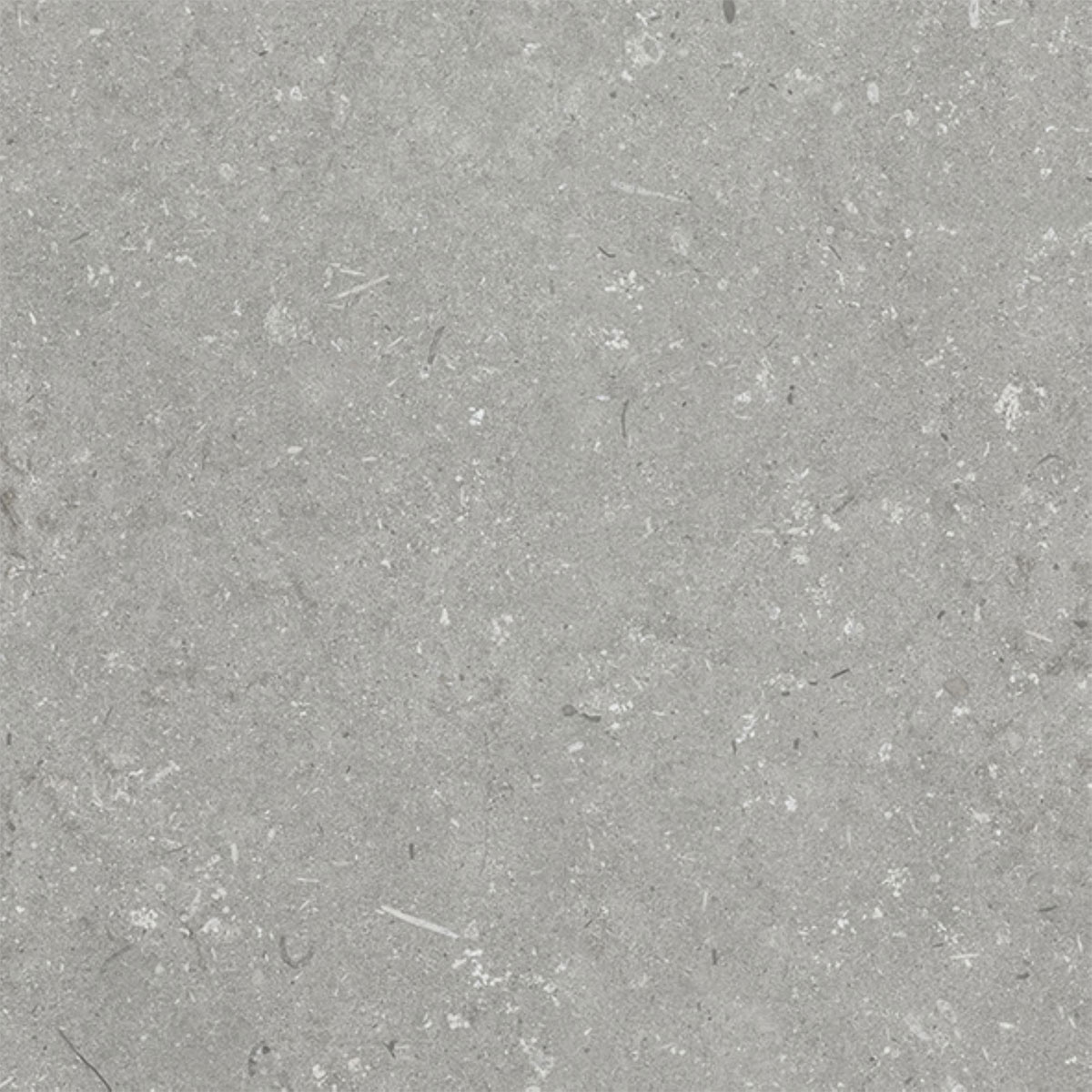 Feinsteinzeug Brighton grigio matt BRG002, 30x60x0,8cm