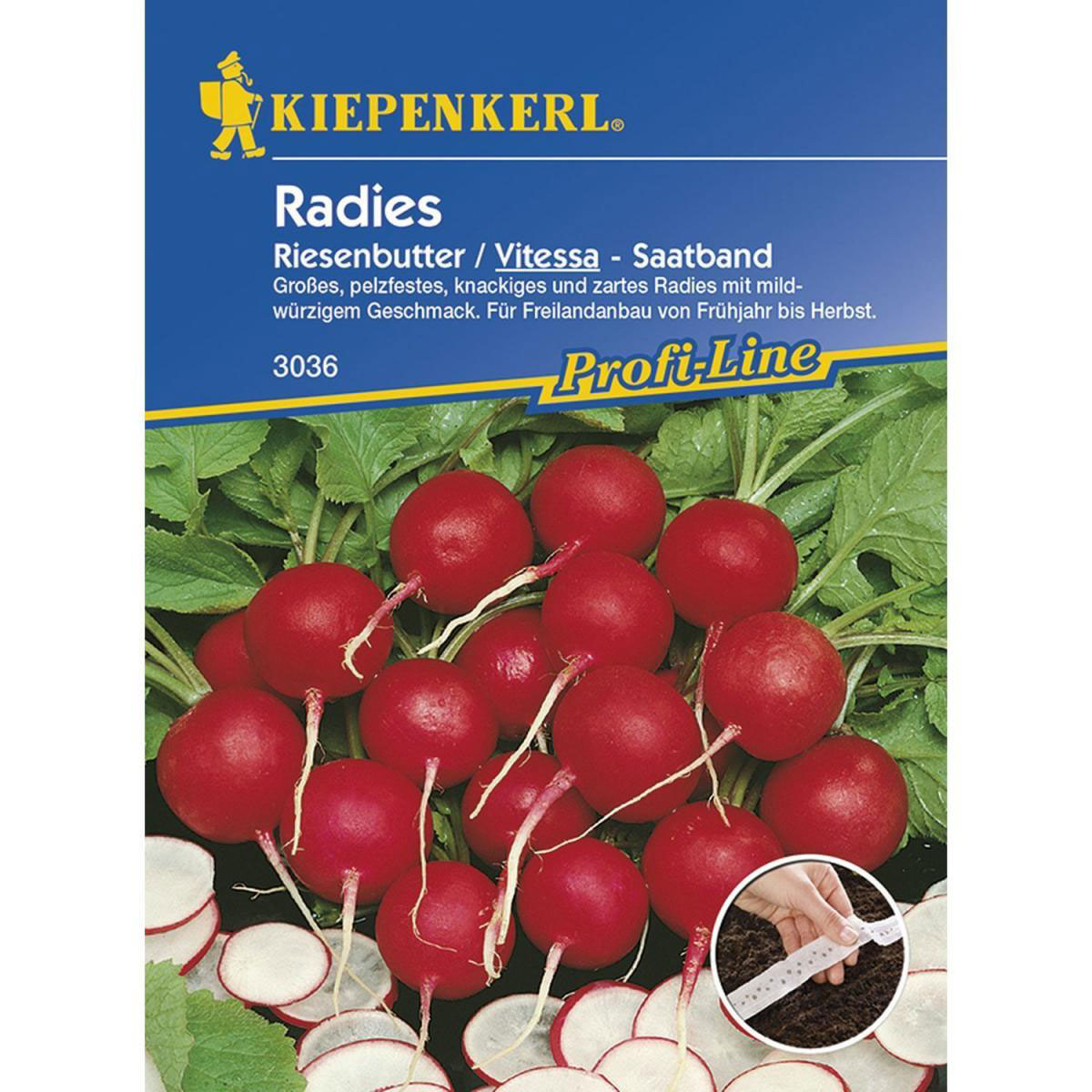 Kiepenkerl Radieschen Vitessa - Saatband Profi-Line