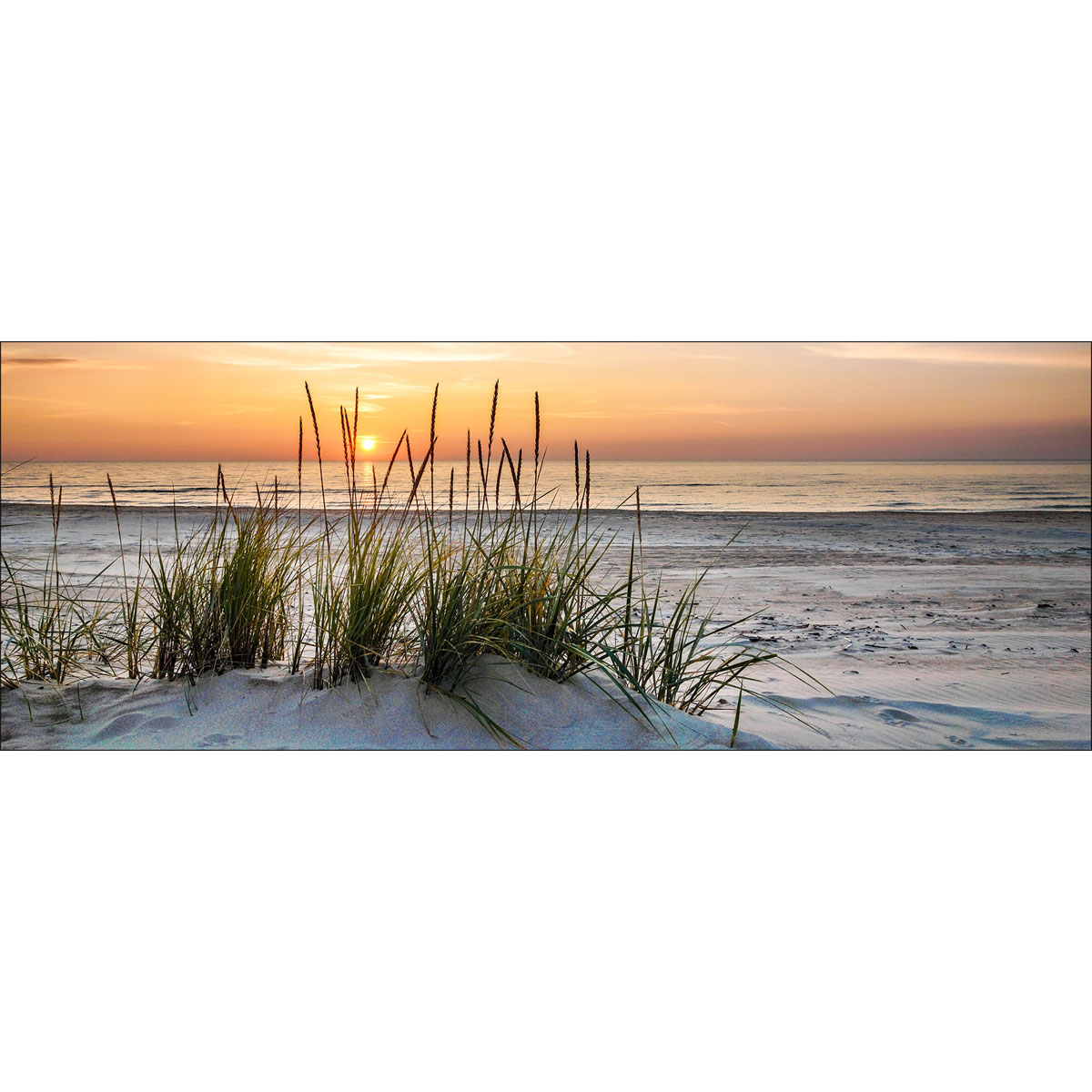 Glas-Art Lonely Dune 50 x 125 cm Glasbild