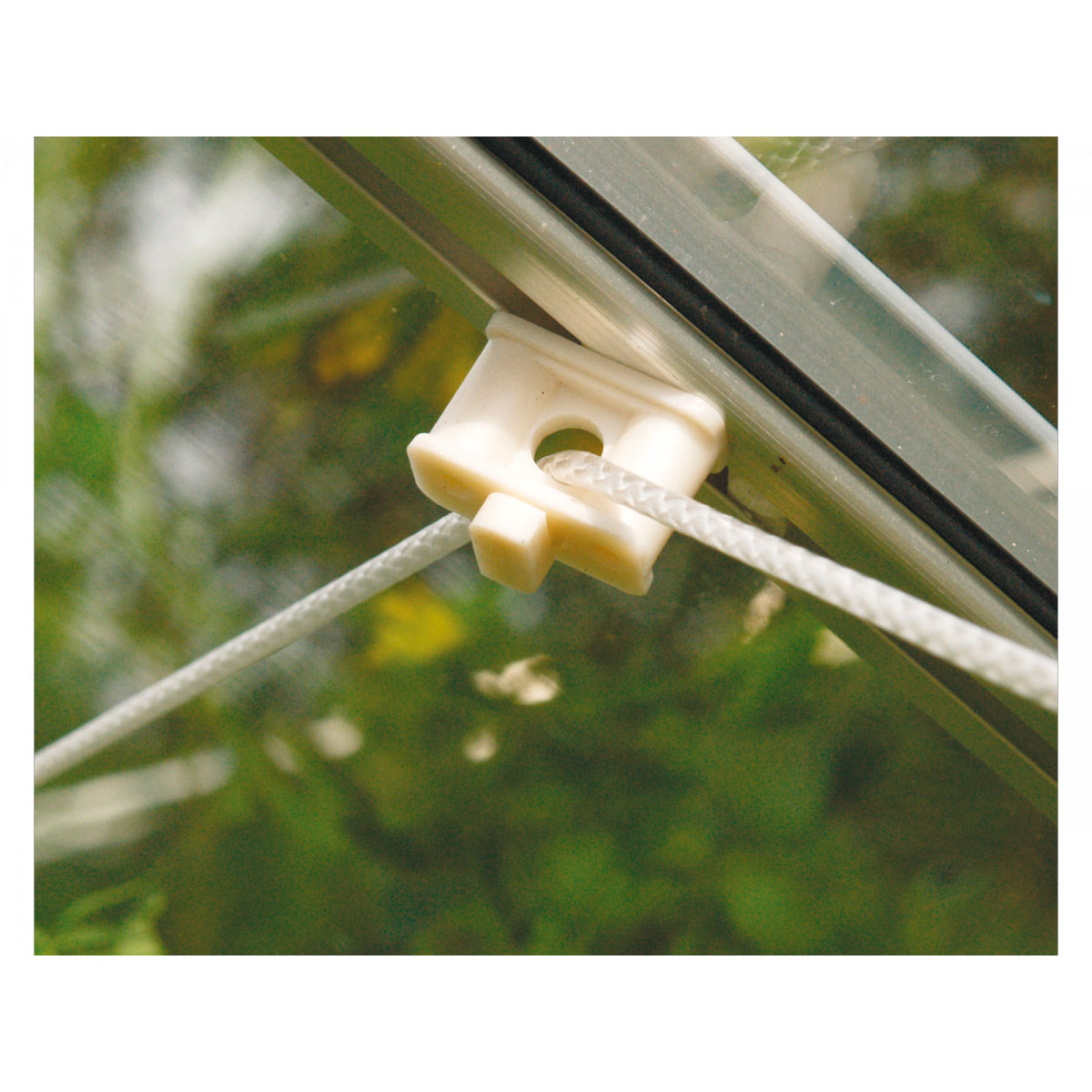 Vitavia Pflanzenhalter 10 Stück für Gewächshaus