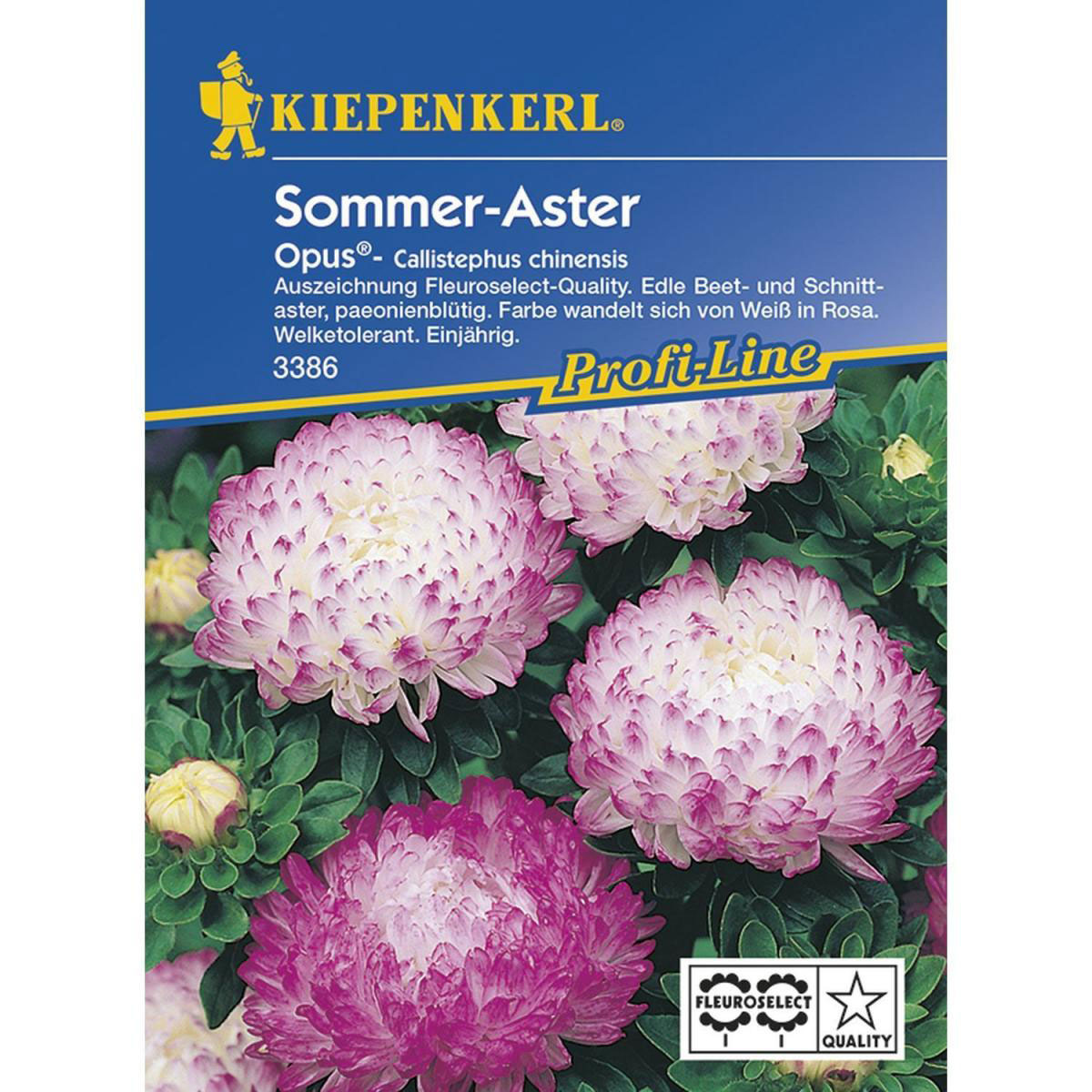 Kiepenkerl Sommeraster Opus Profi-Line