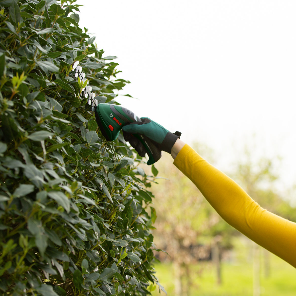 Bosch  Gras-und Strauchschere Isio Bild 6