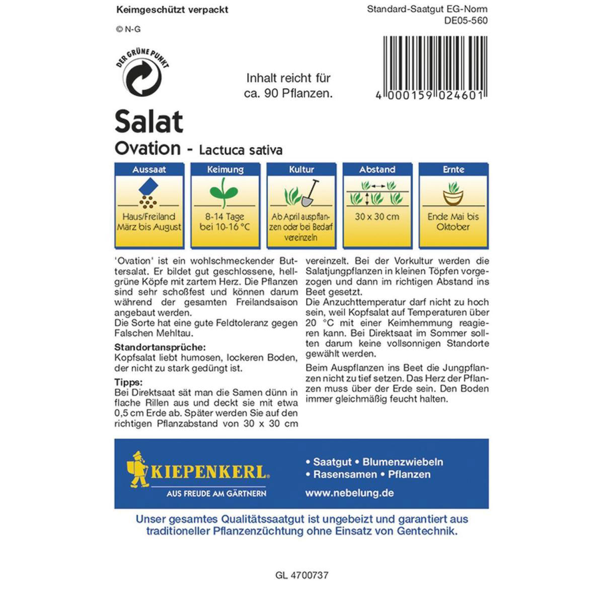 Kiepenkerl Kopfsalat Ovation Profi-Line Bild 2