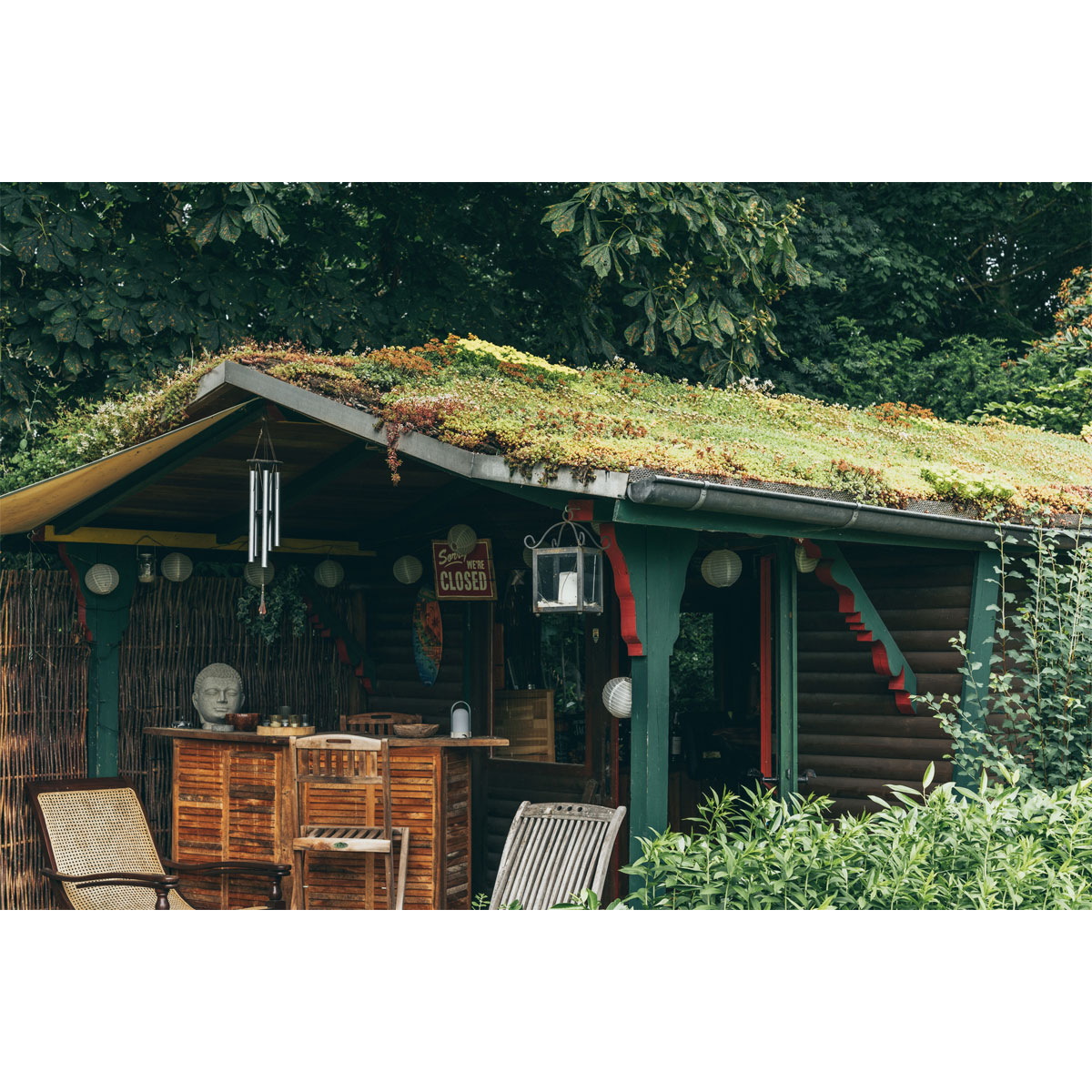 AboutGreen Dachbegrünung Roll und Go Dachneigung 1-5 Bild 3