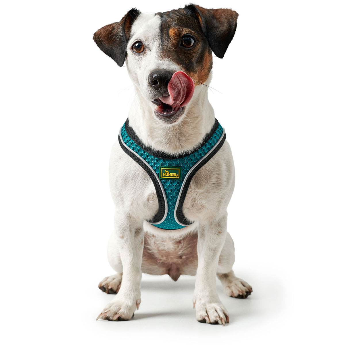 Hunter Hundegeschirr Hilo Comfort türkis Größe XXS-XS Bild 8