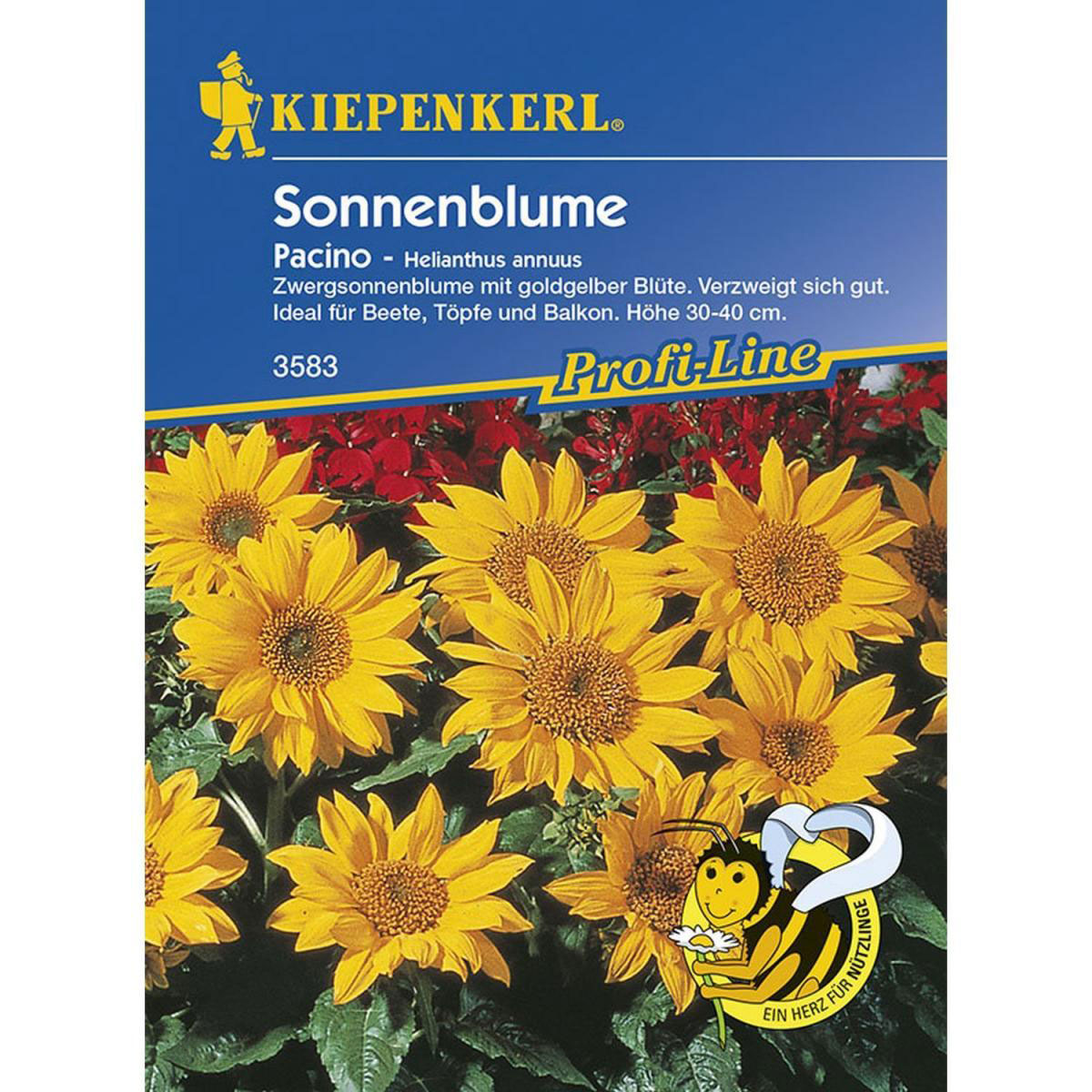 Kiepenkerl Sonnenblume Pacino Profi-Line