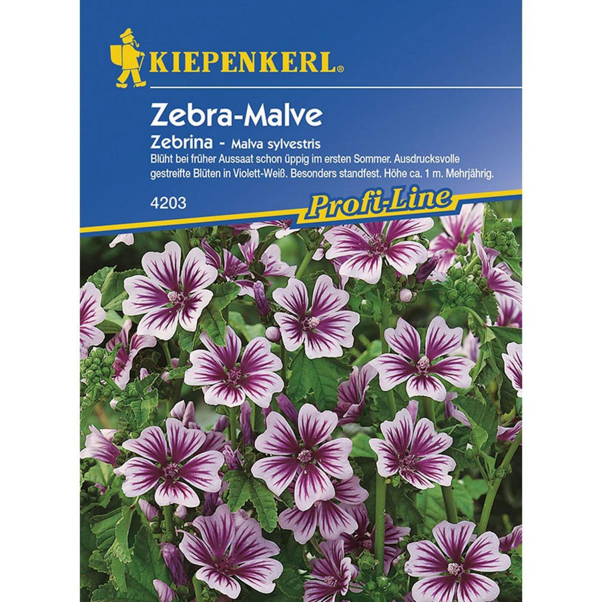 Kiepenkerl Malve Zebrina Profi-Line