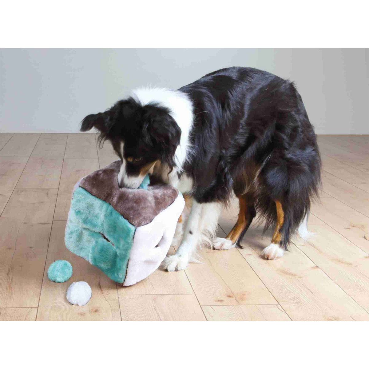 Trixie Dog Plüsch Würfel mit 4 Spielbällen 21 cm