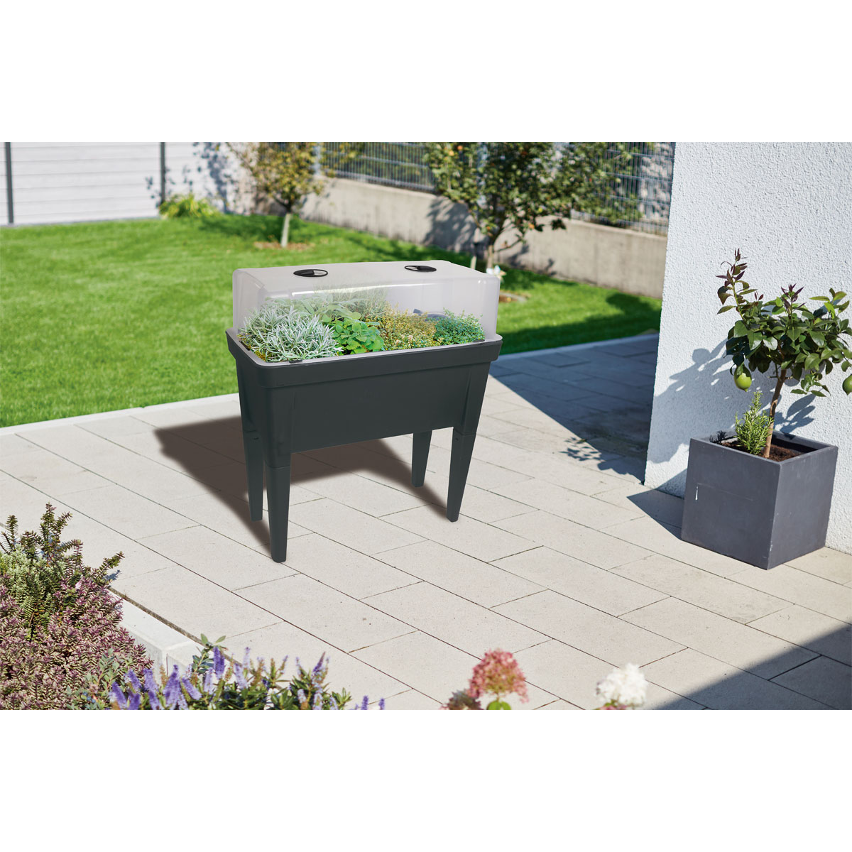 Wingart Deckel für Hochbeet Kräuterpott Bild 3