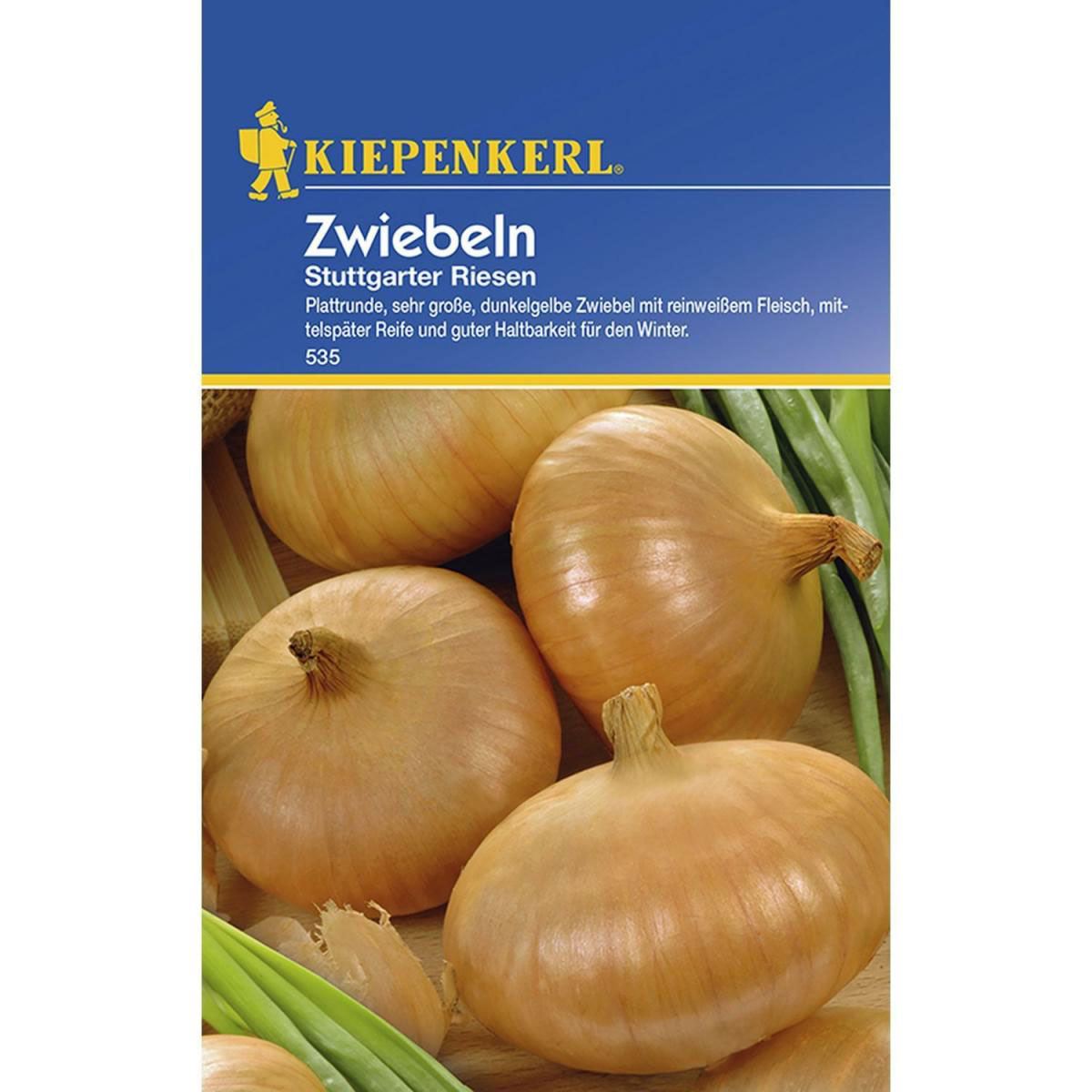 Kiepenkerl Zwiebeln Stuttgarter Riesen