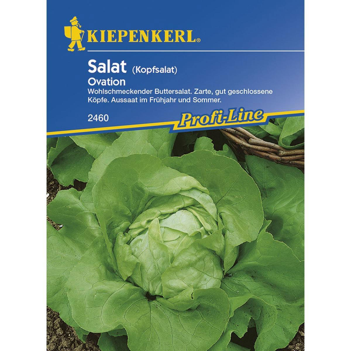Kiepenkerl Kopfsalat Ovation Profi-Line