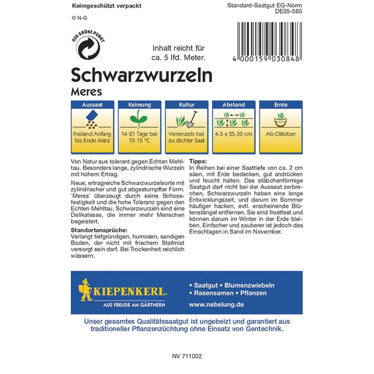 Kiepenkerl Schwarzwurzeln Meres Profi-Line Bild 2