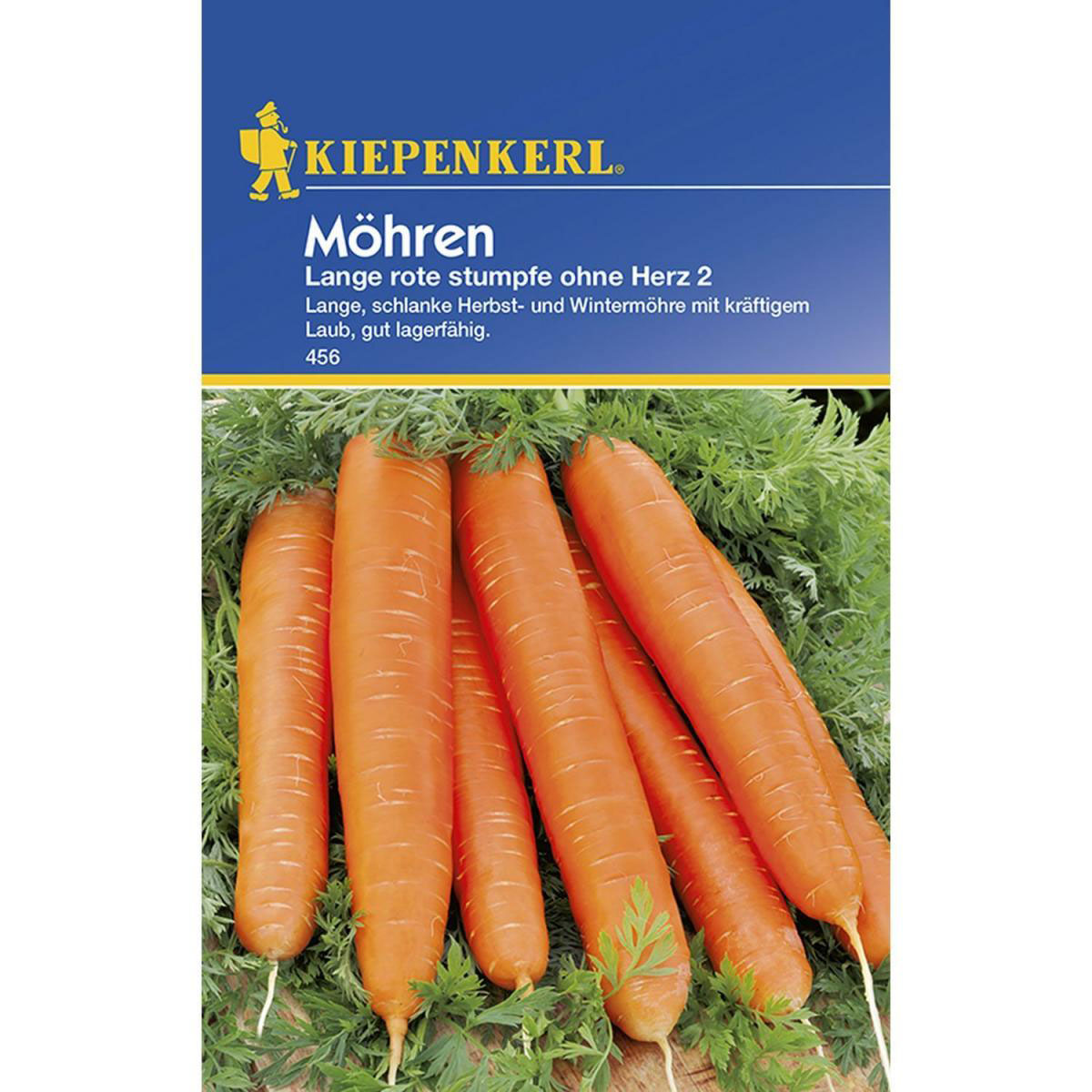 Kiepenkerl Möhren Lange rote stumpfe ohne Herz 2