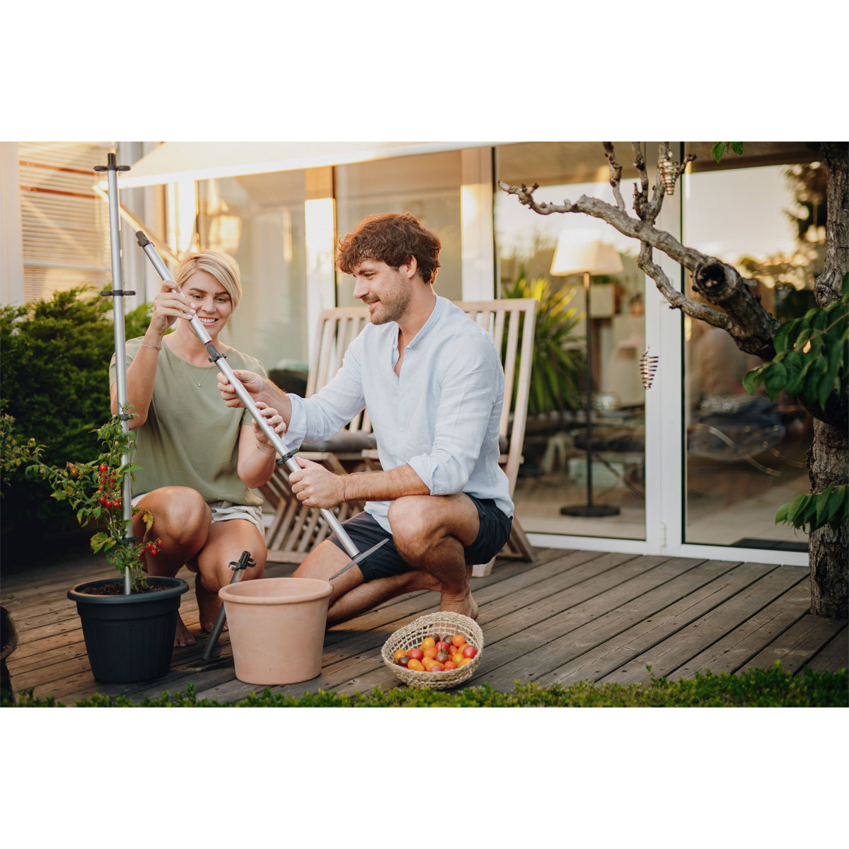 Tomatenrankhilfe Tomato Buddy Bild 3