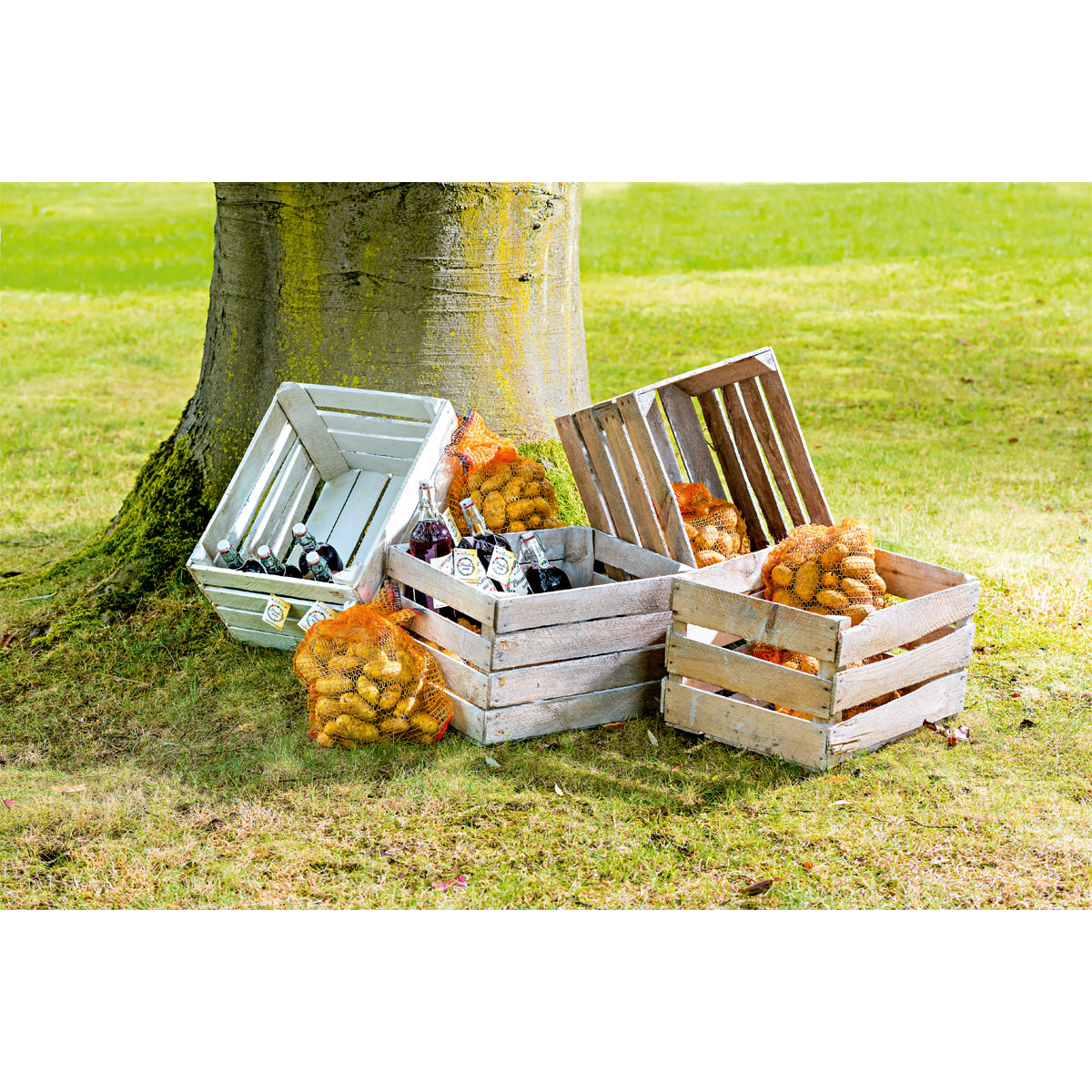 Obstkiste gebraucht 50 x 40 x 30 cm Bild 4