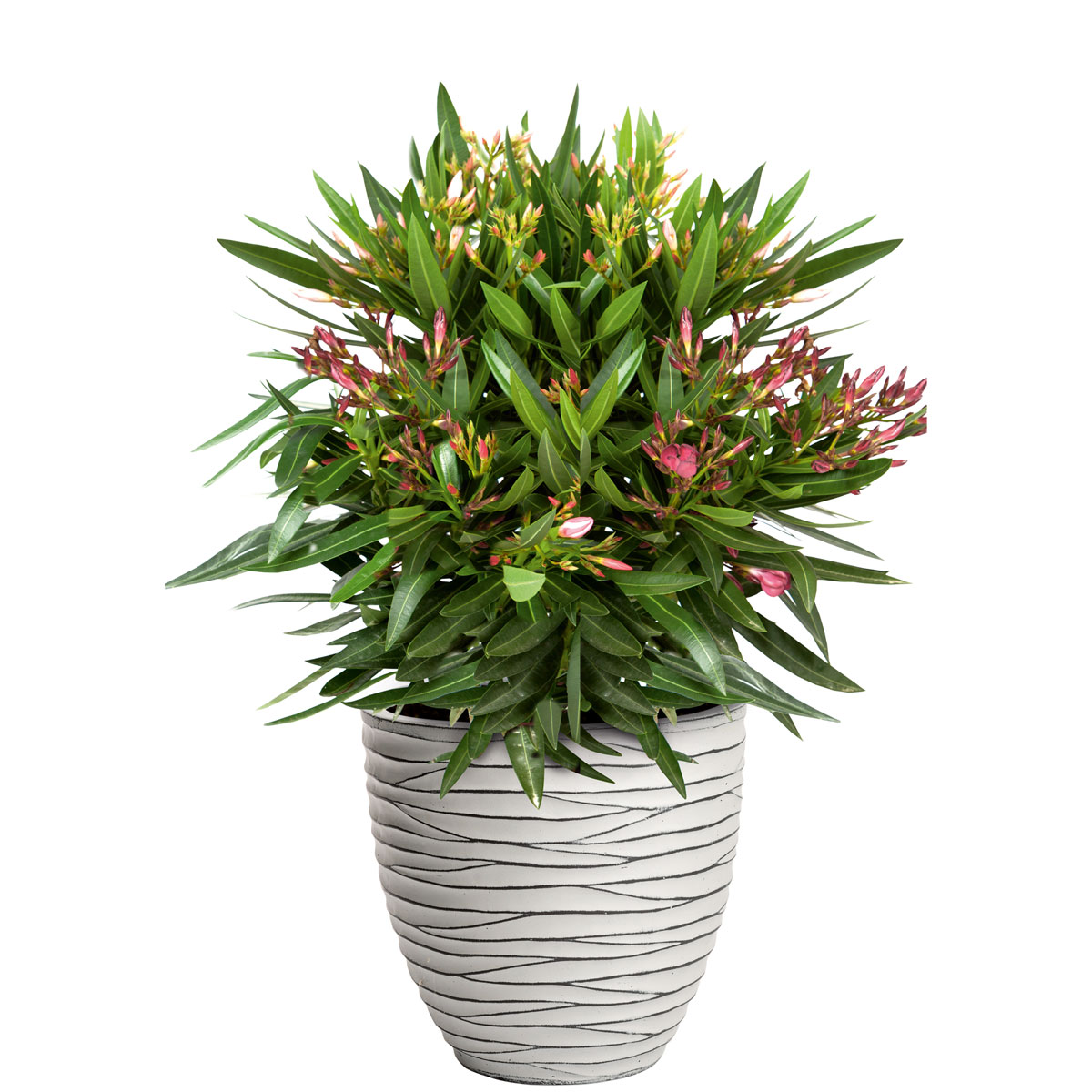 Haveson Pflanztopf Big Groove Durchmesser 36,5 x 35 cm Light cement Bild 2