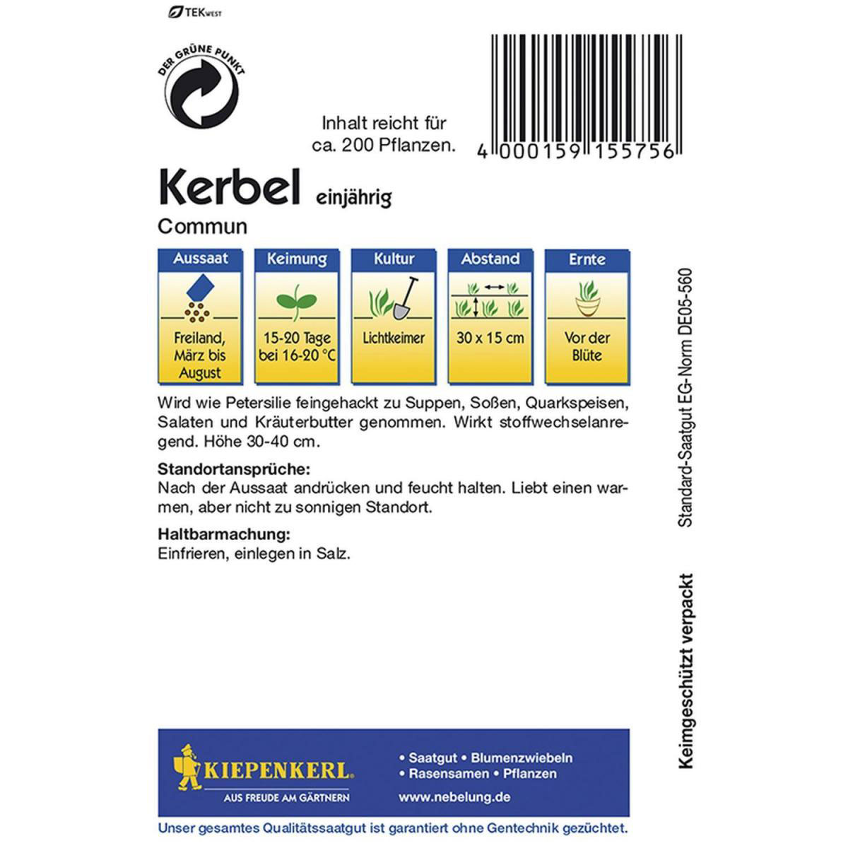 Kiepenkerl Kerbel Commun einjährig Bild 2