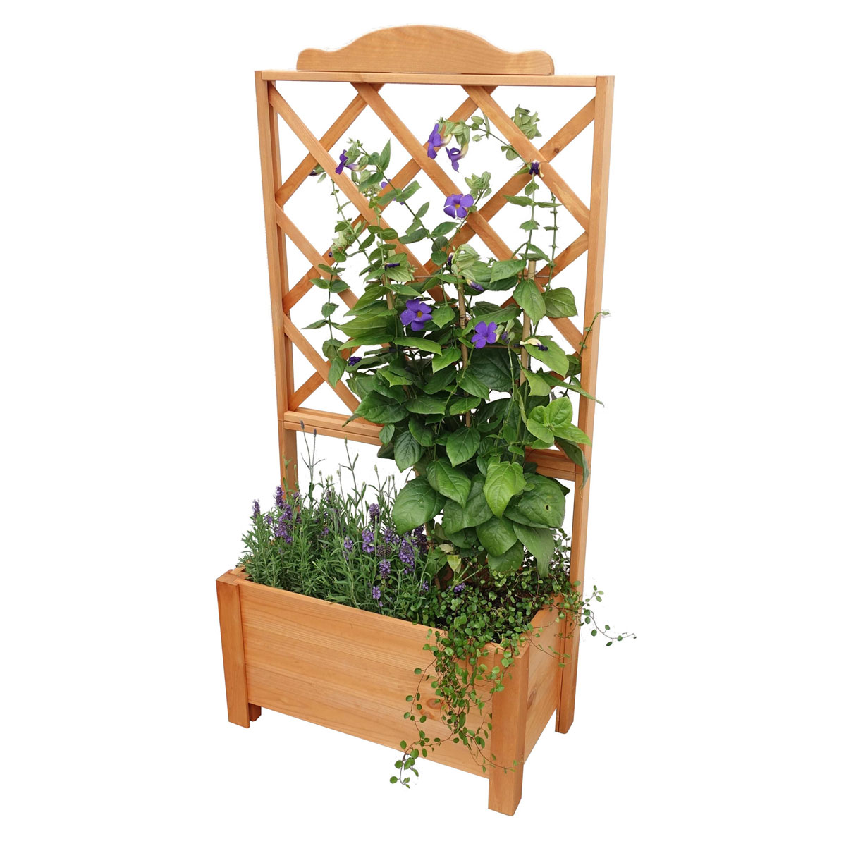 Promadino Rankkasten Botanica 69 x 140 cm Bild 2