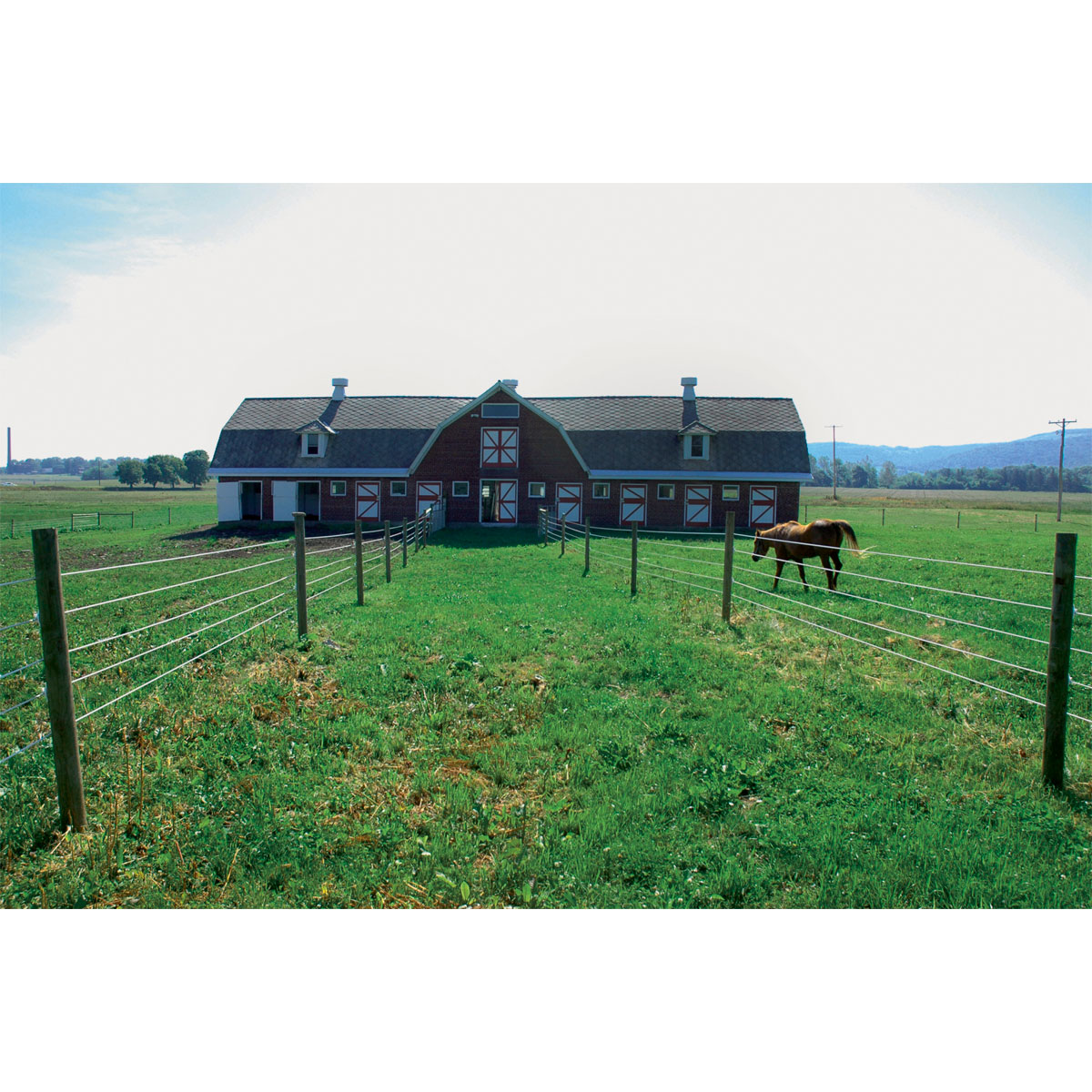 Weidezaun Top Line Horewire 200 m weiß Bild 10