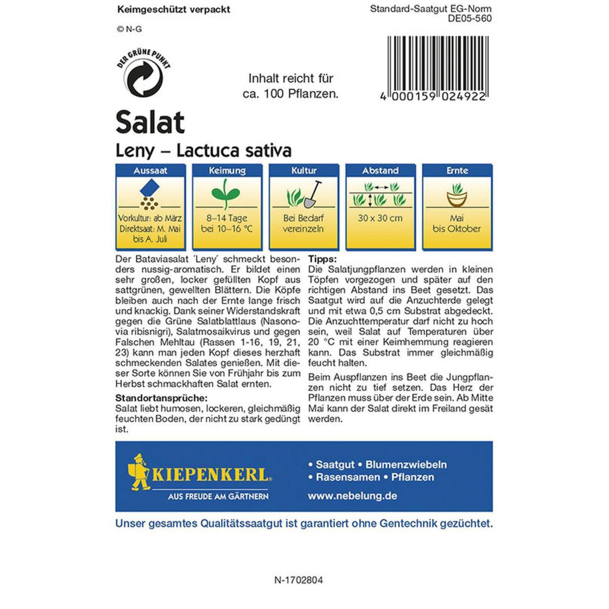 Kiepenkerl Bataviasalat Leny grün Profi-Line Bild 2