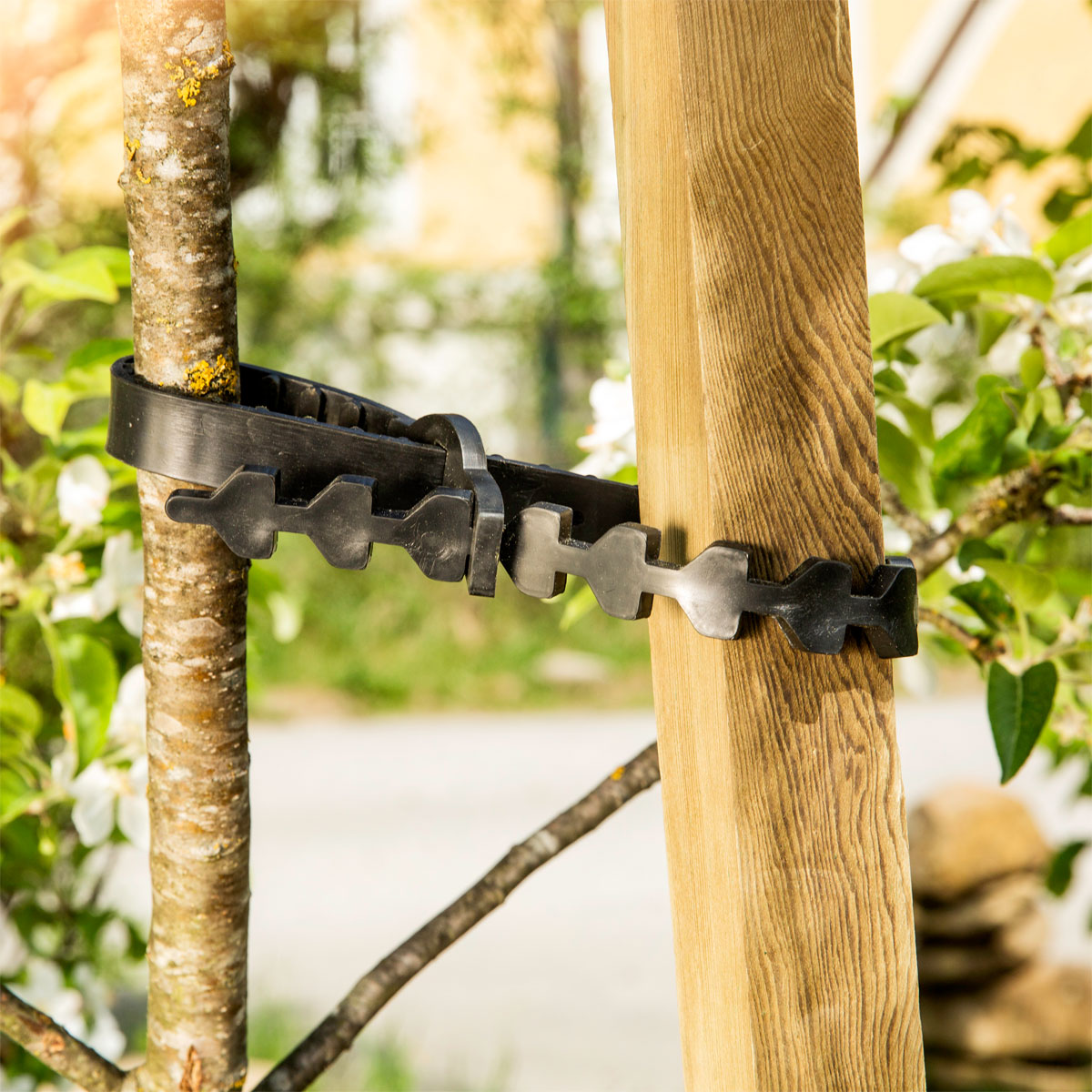 Windhager Gummi-Baumanbinder-Set schwarz 2-teilig Bild 2