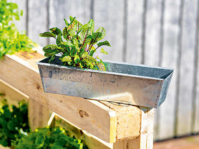 Blumentöpfe - Pflanzkübel-Kategorie