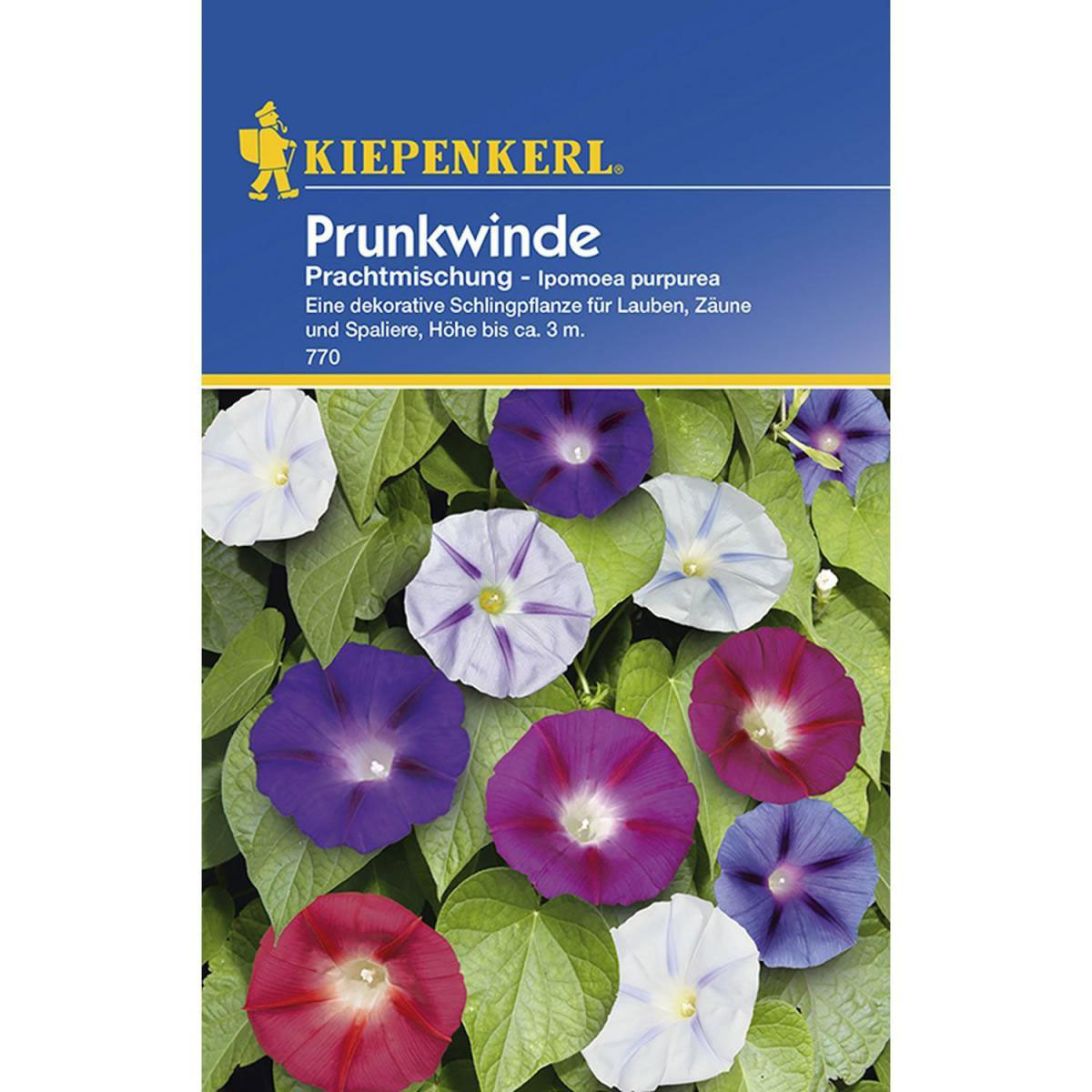 Kiepenkerl Prunkwinde Prachtmischung