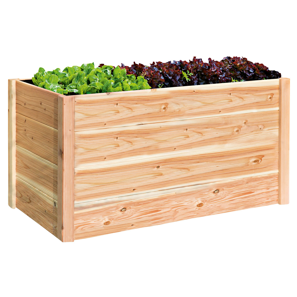 Hochbeet Douglasie unbehandelt 150 x 76 x 80 cm