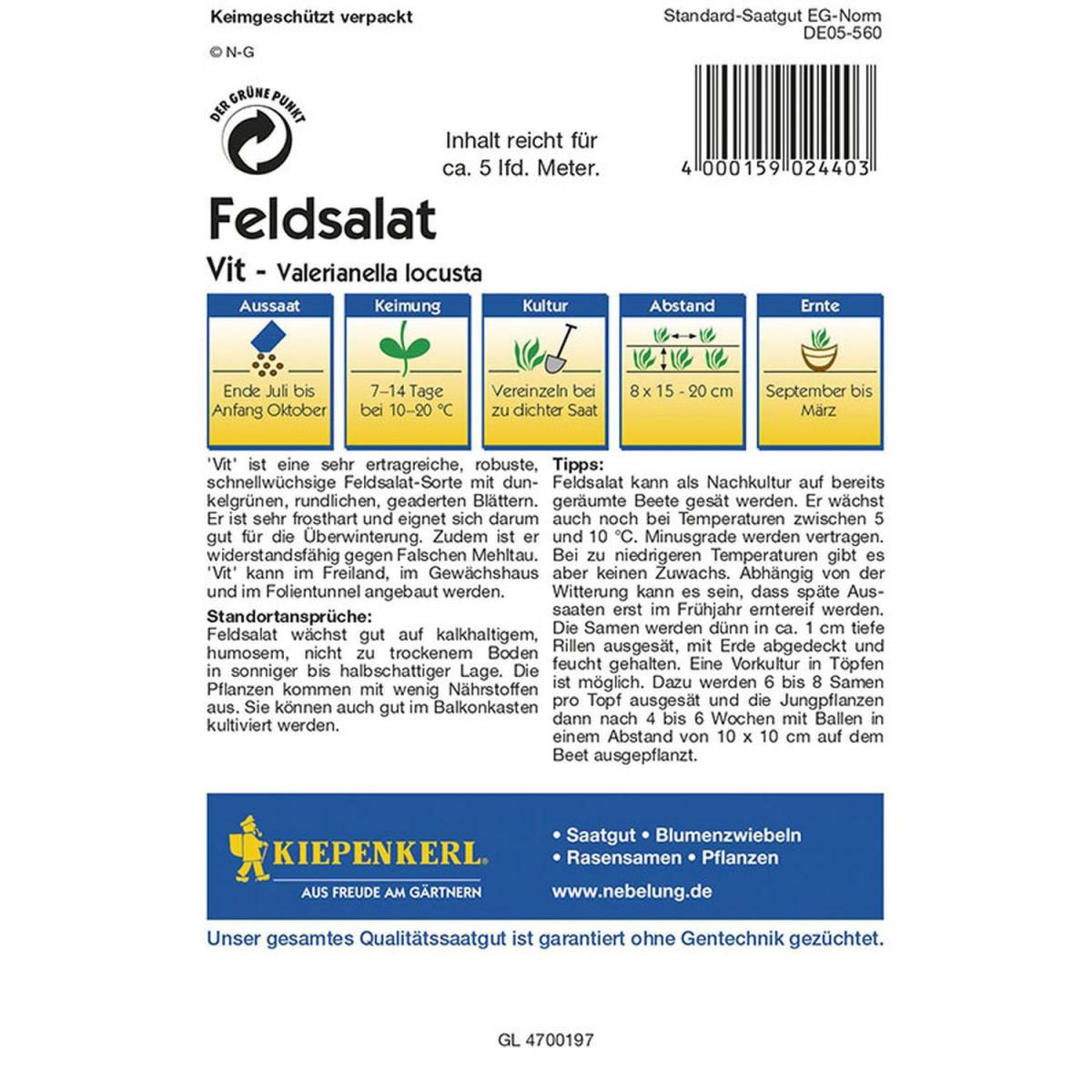 Kiepenkerl Feldsalat Vit Profi-Line Bild 2