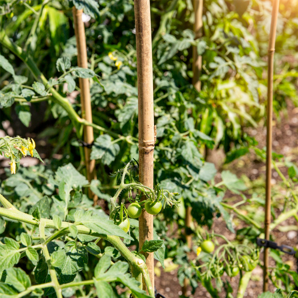 Windhager  Tonkinstäbe 90 cm