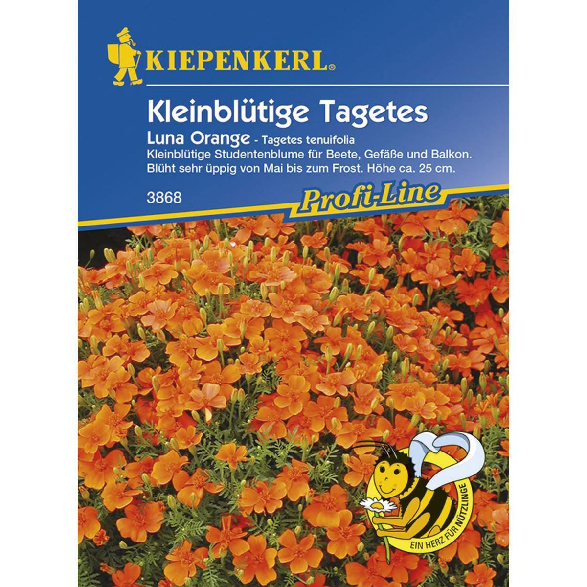 Kiepenkerl Tagetes tenuifolia Luna Orange Profi-Line