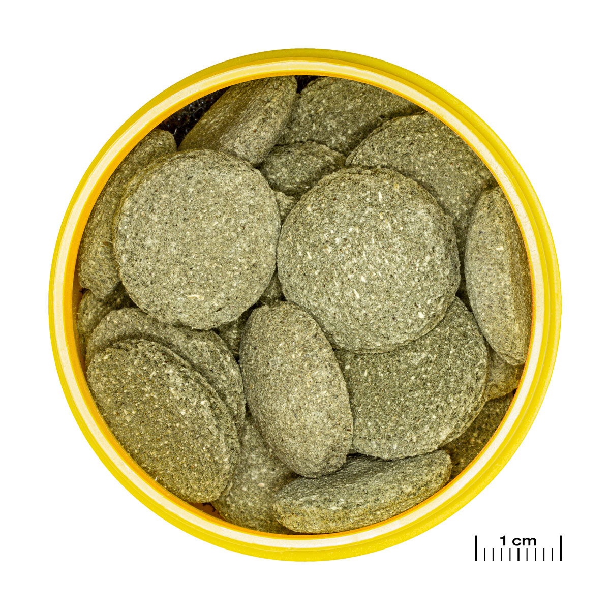 Futtertabletten PRONOVO PLECO WAFER XL 250 ml Bild 2