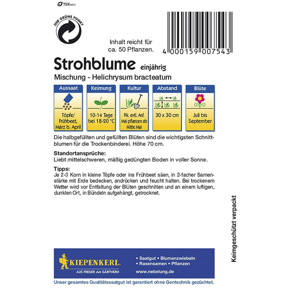 Kiepenkerl Strohblumen Mischung Bild 2