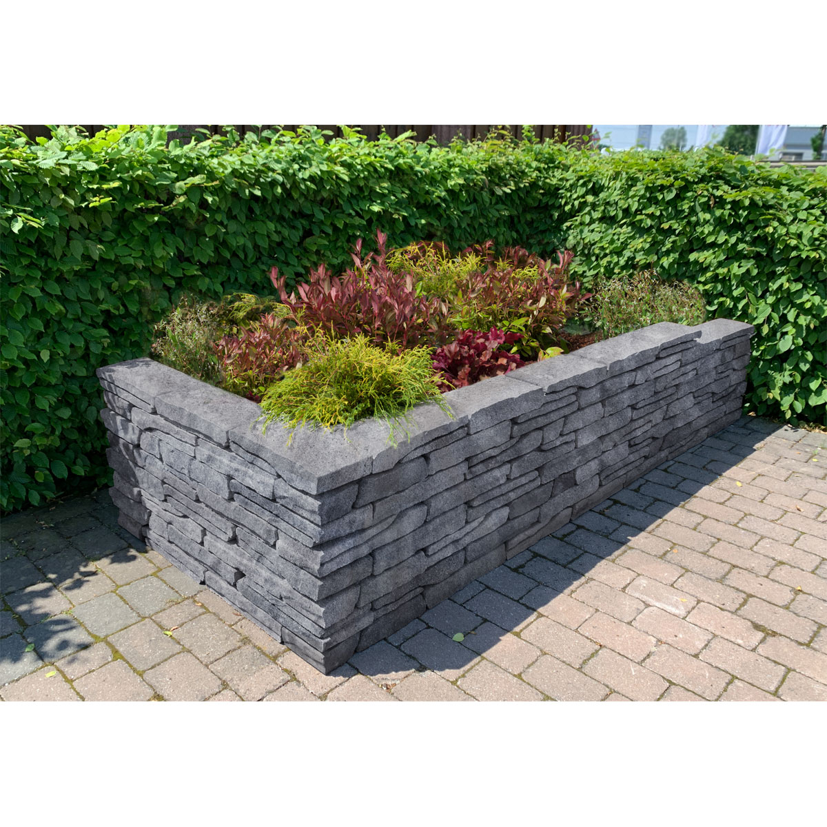 Diephaus  Mauer Vived 40/18/8 cm Quarzit Bild 1