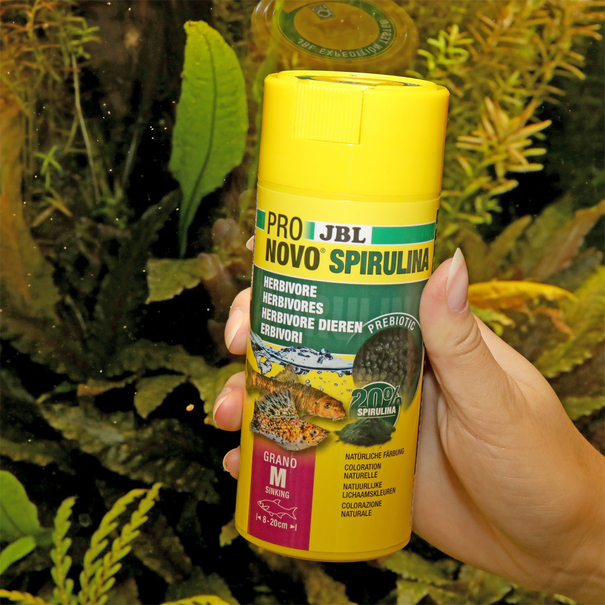 JBL  PRONOVO SPIRULINA GRANO M 250ml CLICK Bild 3