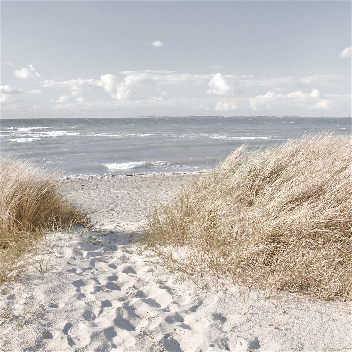 Glas-Art Oase der Sinne I 20 x 20 Glasbild