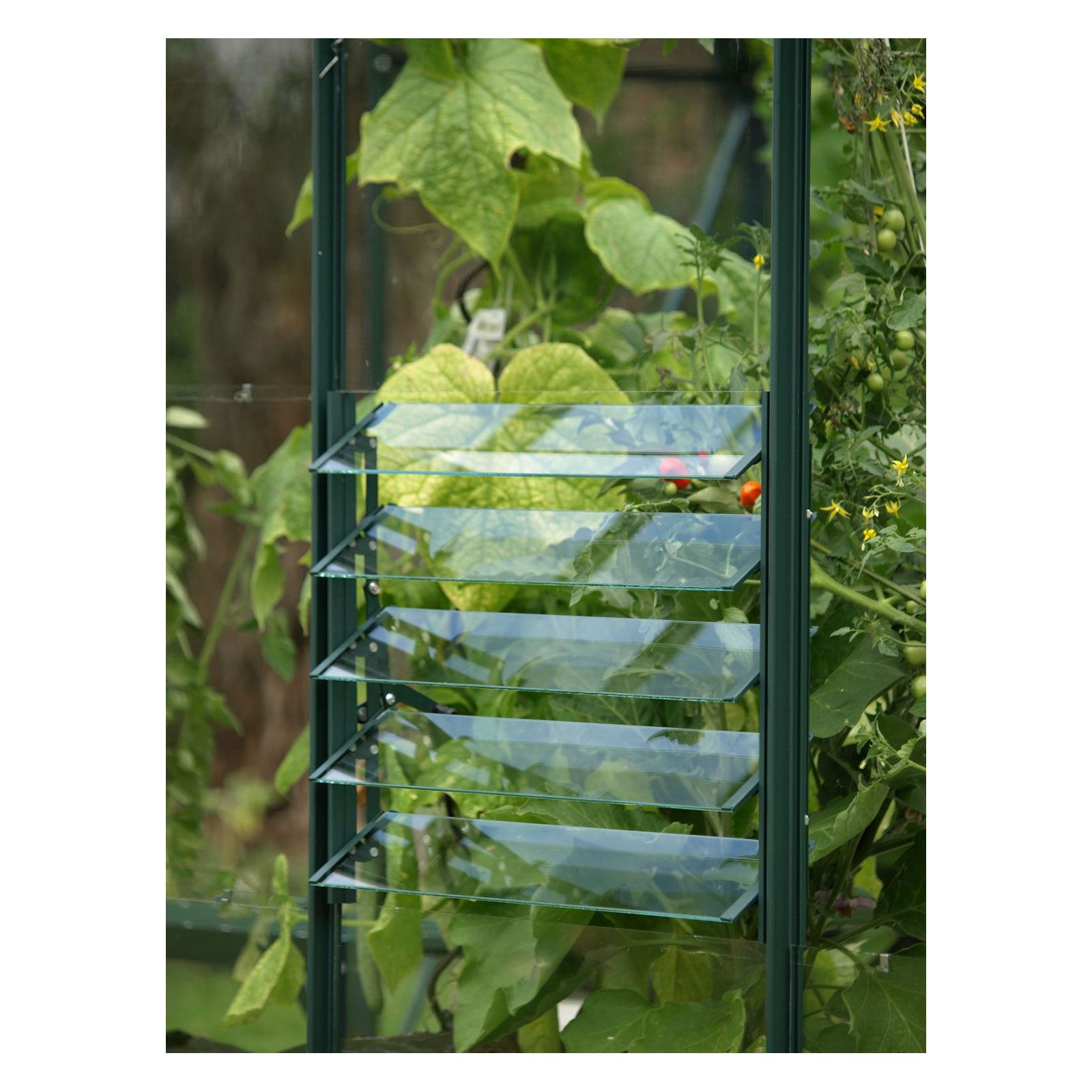 Vitavia Lamellen-Wandfenster grün