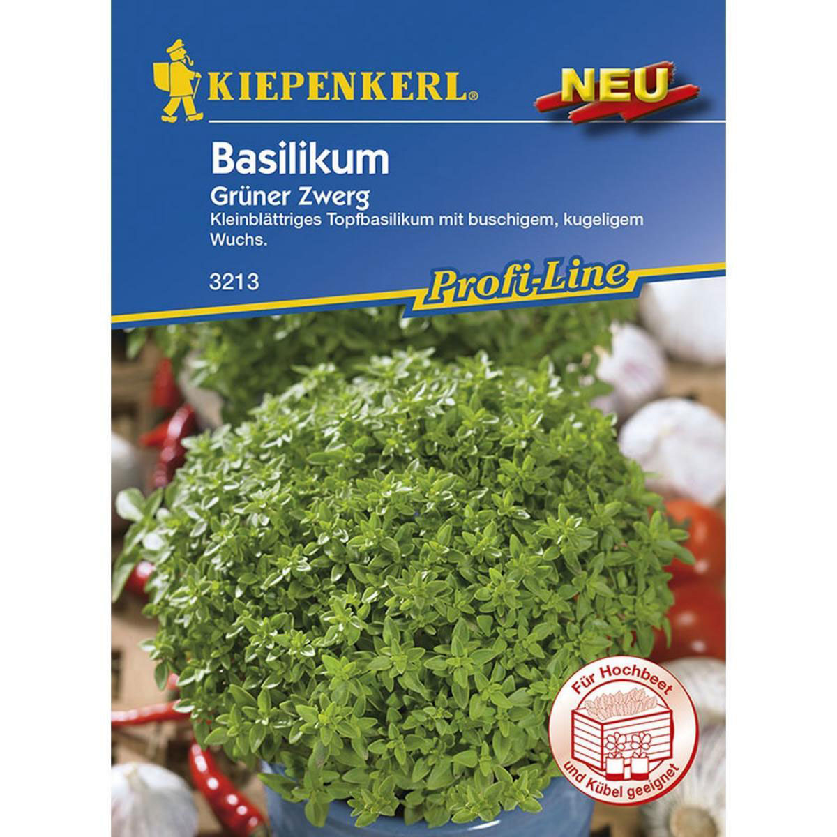 Kiepenkerl Basilikum ´Grüner Zwerg´