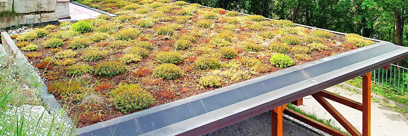 Borne Türelemente Logo