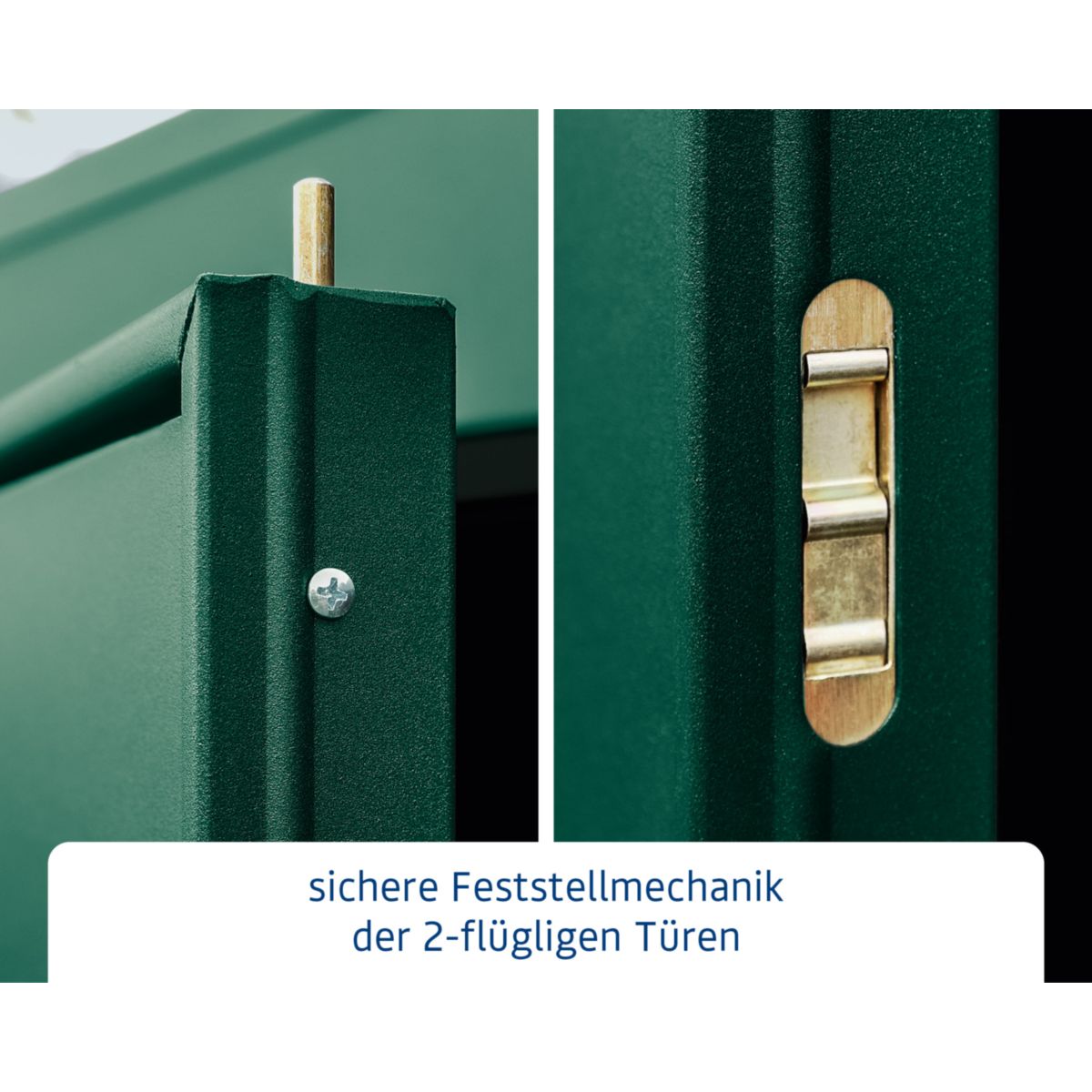 EcoStar  Gerätehaus Elegant-PTyp 2RAL6005 2 flg Bild 6