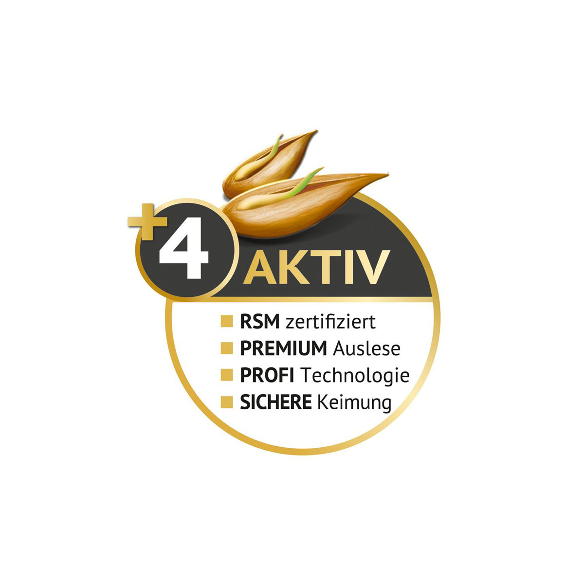 Compo Trocken-Rasen Saat 1 kg für 40 m² Bild 2