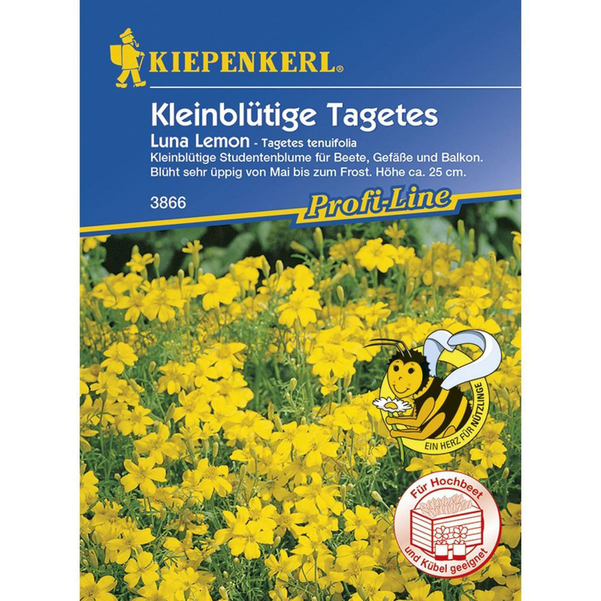Kiepenkerl Tagetes tenuifolia Luna Lemon Profi-Line