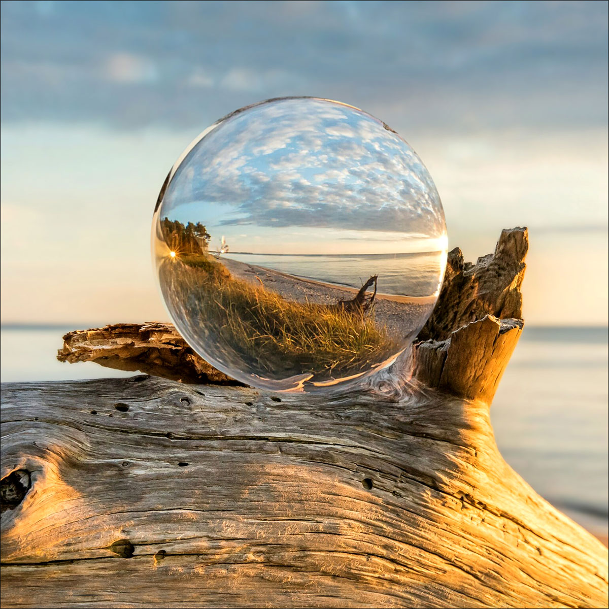 Glas-Art Drop On Wood 30 x 30 Glasbild