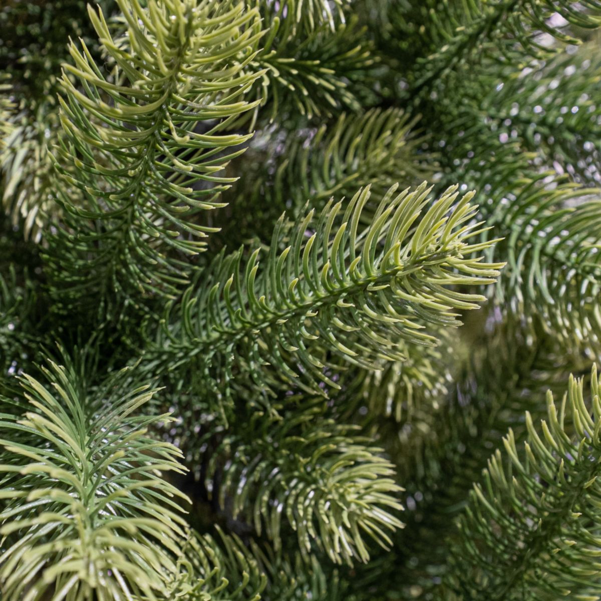 Nagoya Weihnachtsbaum grün 150x91 cm Bild 3